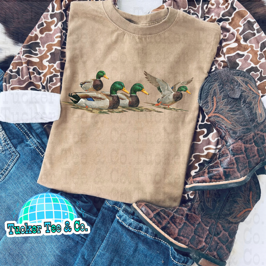 Ducks