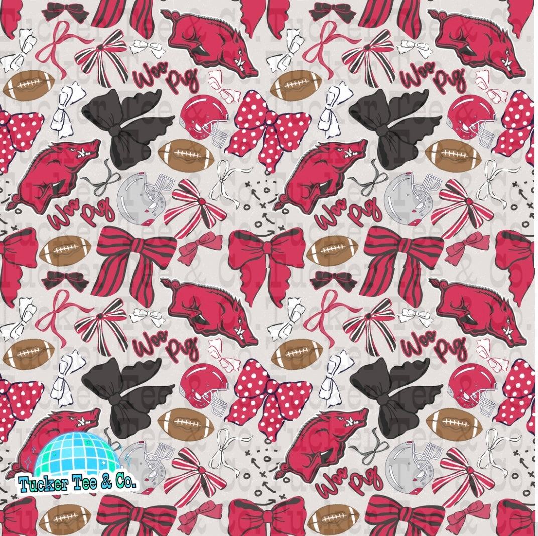 Arkansas Razorbacks
