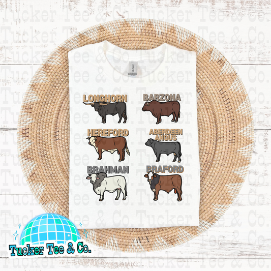 Cows